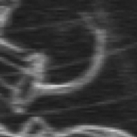 025GasPoweredHearingAid tn